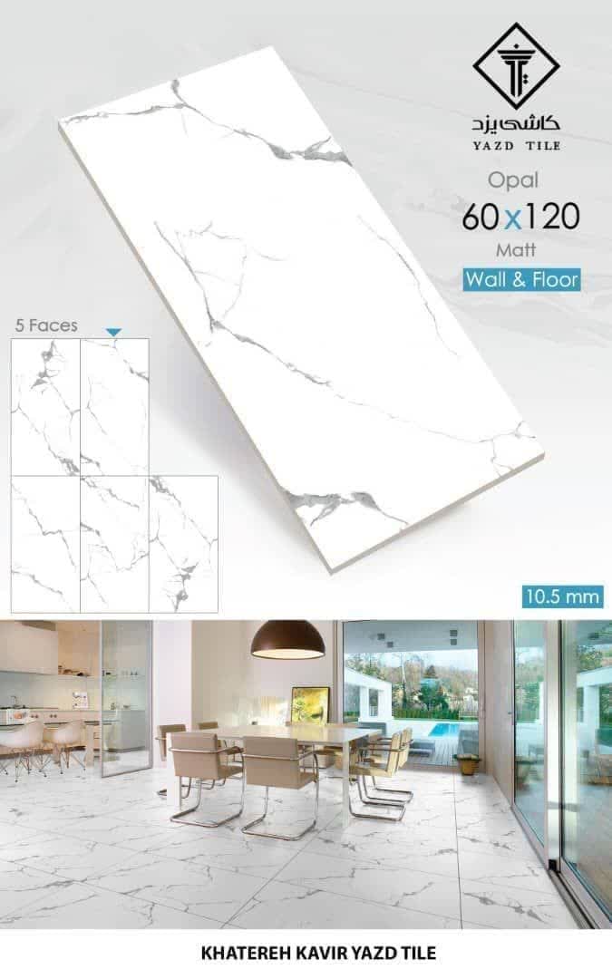 photo_۲۰۲۴-۱۲-۰۷_۰۹-۵۵-۴۳